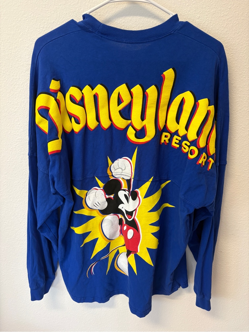 Disney Land Spirit Jersey